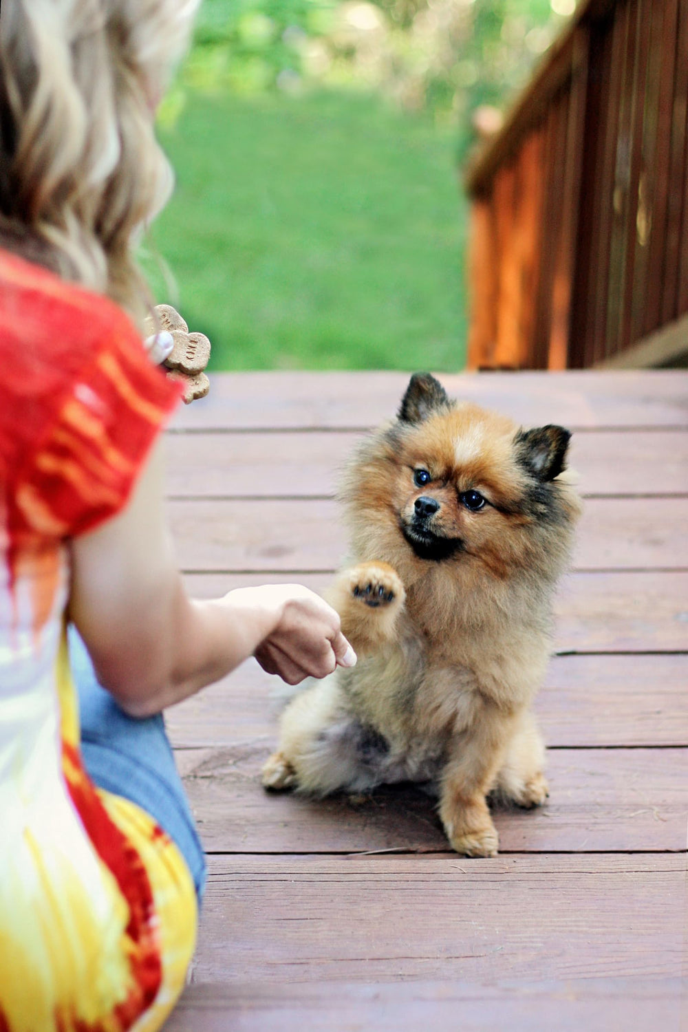 KONG Snacks puppy formula option in package for growing pups