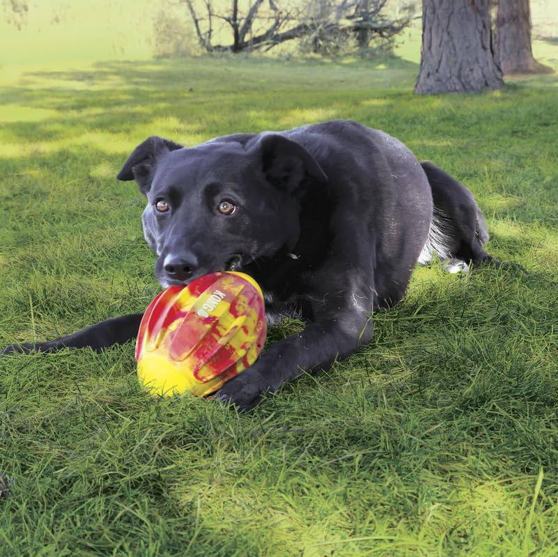 Squeaker visible in KONG Sport FlexBall during interactive session.