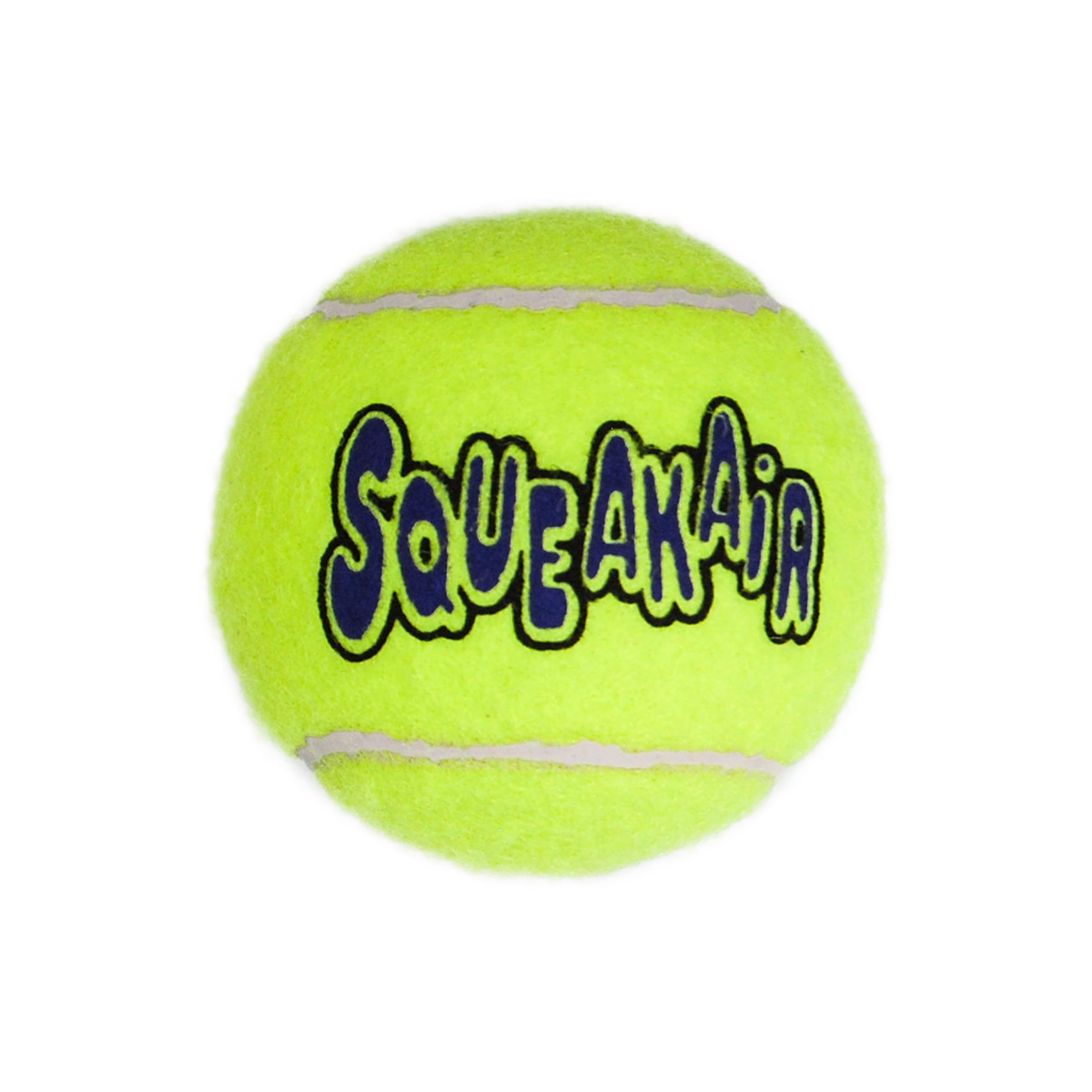 KONG Squeakair Ball dog playtime image captures active fetch sessions