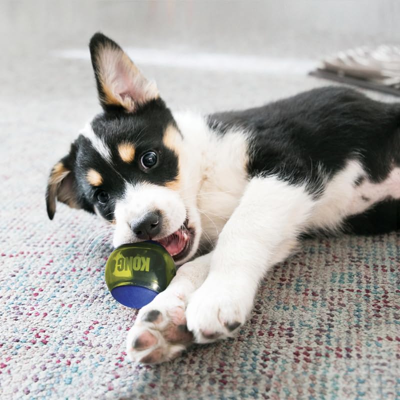 KONG Squeezz Action Ball recessed-squeaker close-up highlights engaging built-in squeak for active play.