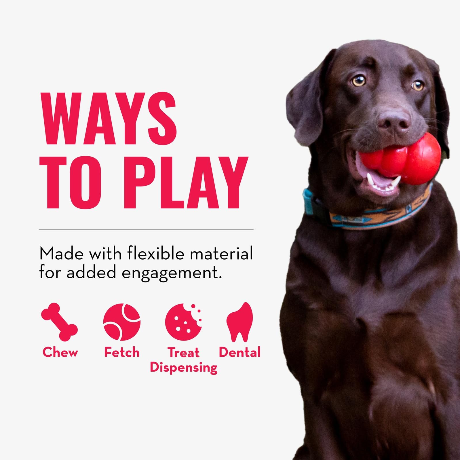 KONG Squeezz Dental Ball designed for medium/large dogs.