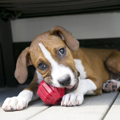 KONG Stuff-A-Ball ridges for teeth cleaning during chews