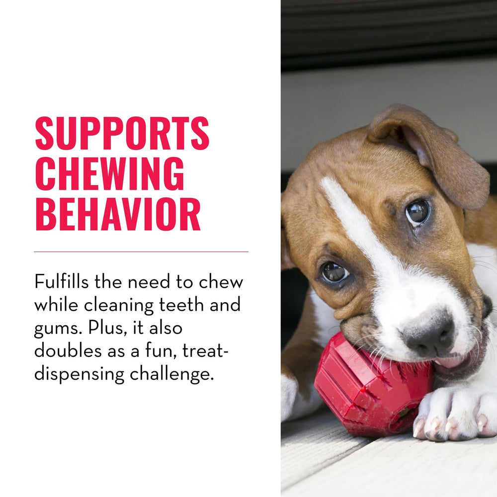 KONG Stuff-A-Ball treat-dispensing challenge boosts mental stimulation and reward-ready play