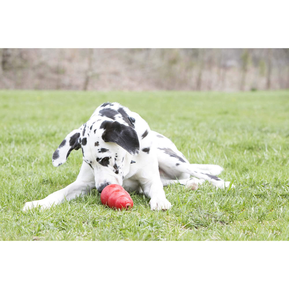 KONG Stuff'N sweet potato paste tube providing natural flavor for healthy stuffing.
