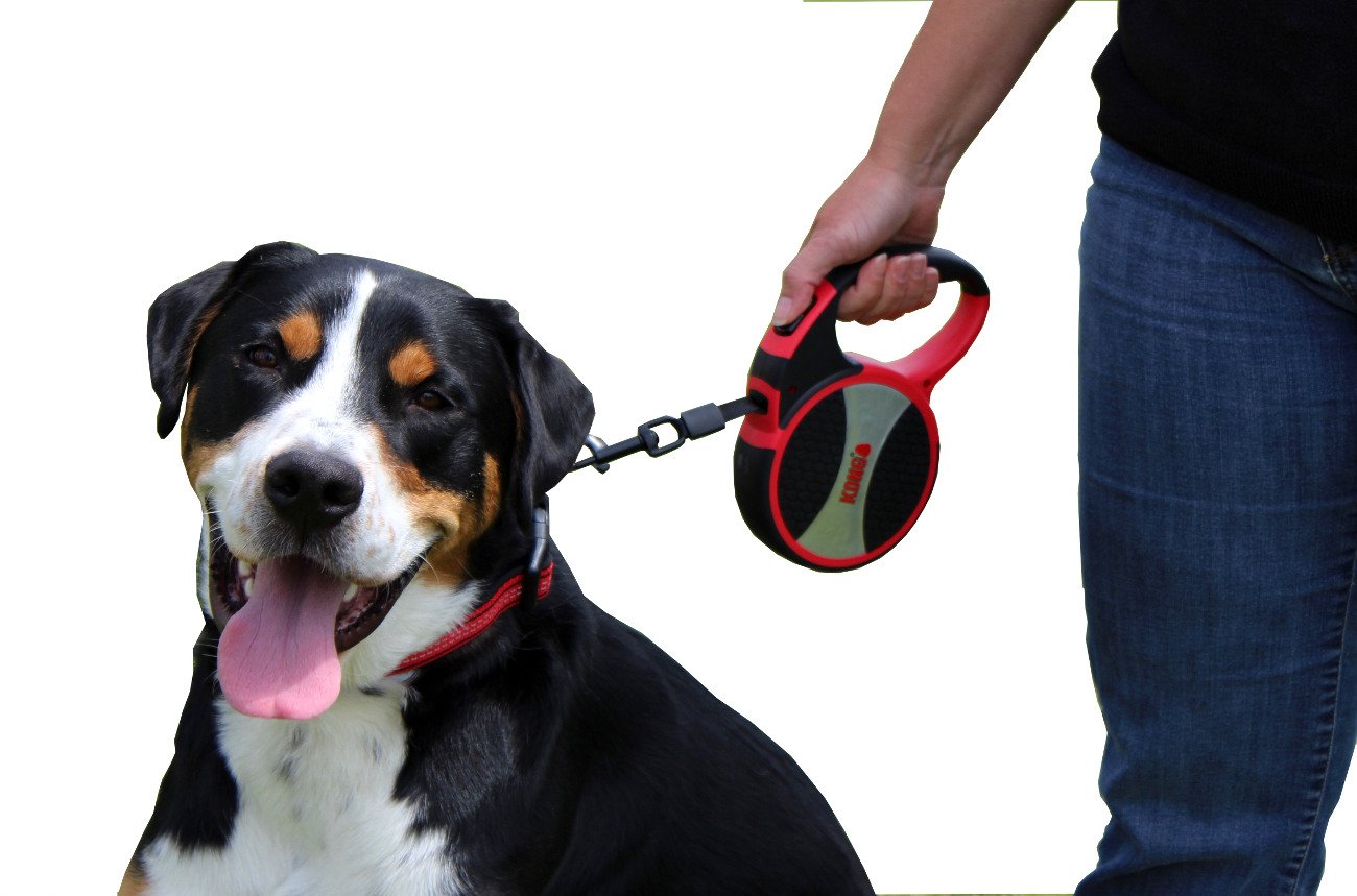 KONG Terrain compact storage ready for bags or pockets