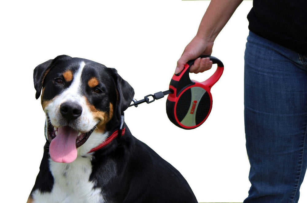 KONG Terrain compact storage ready for bags or pockets