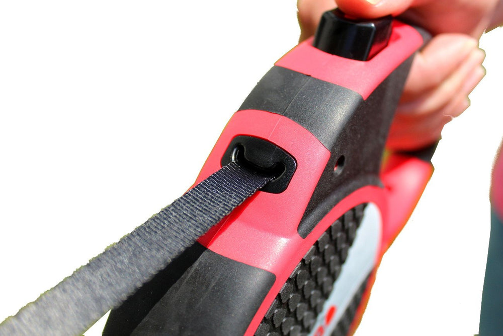 KONG Terrain on-trail walk shows versatile retractable design