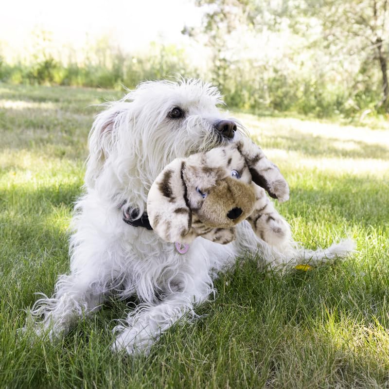 KONG Toughz double squeaker close-up highlighting exciting sounds for active dogs.