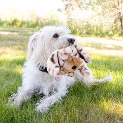 KONG Toughz double squeaker close-up highlighting exciting sounds for active dogs.