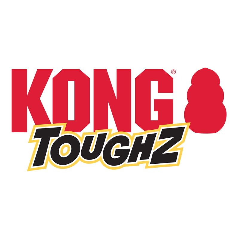 KONG Toughz indoor play scene emphasizing durability and safe fun.
