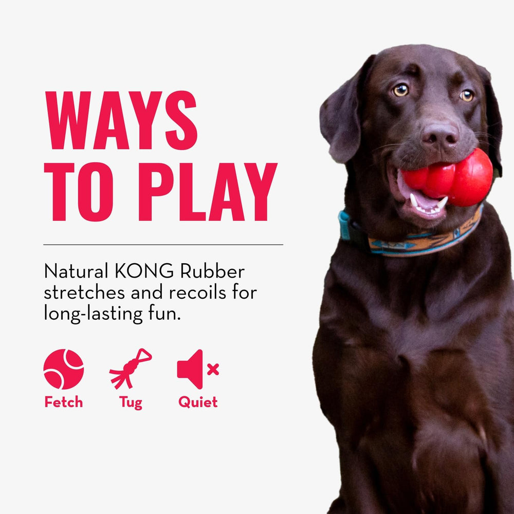 KONG Tug Toy durable-rubber resists wear and returns to shape.