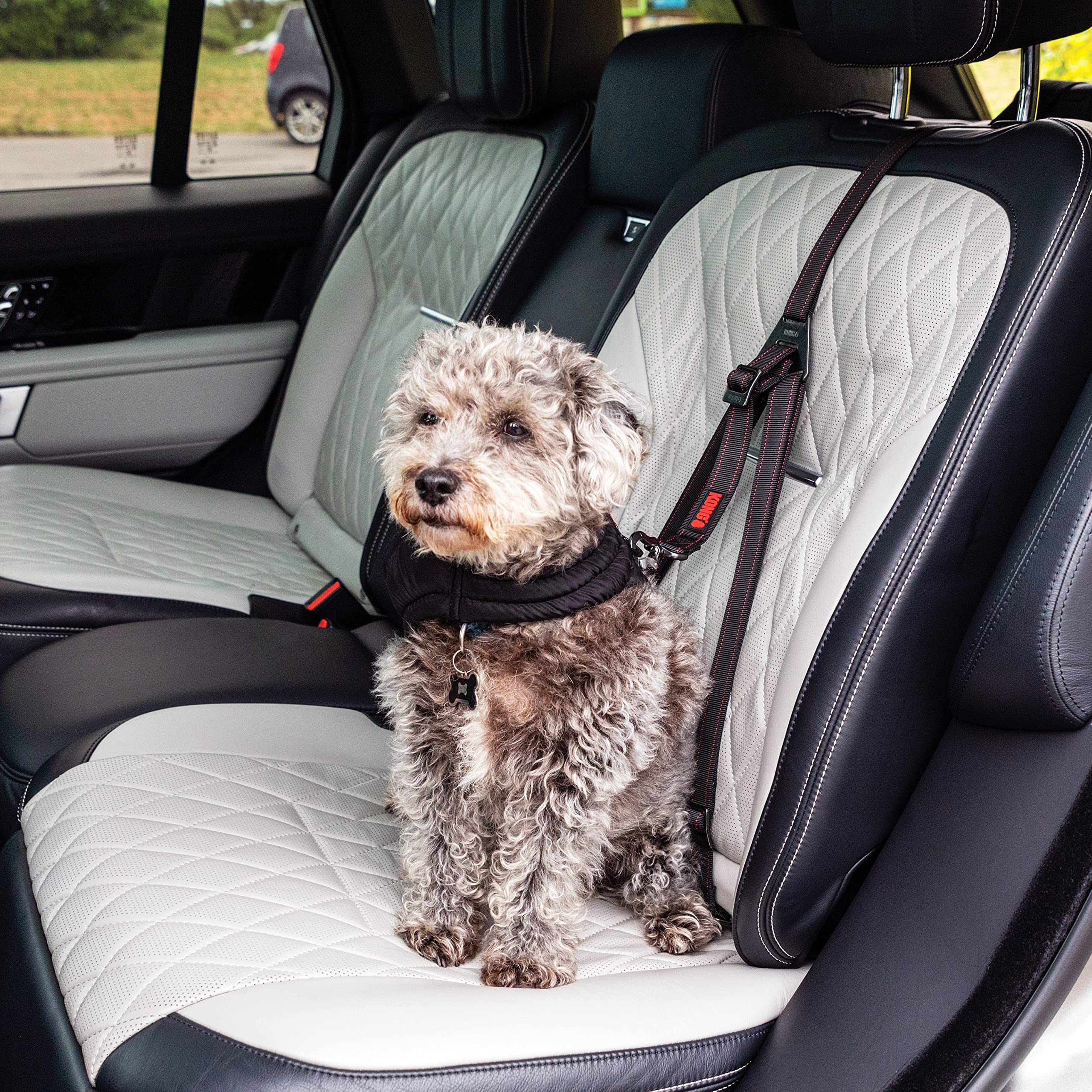 KONG Ultimate Safety Tether height adjustment enables fit for various dog sizes