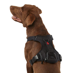 KONG Ultra Durable Waste Bag Harness XL in black with collapsible handle for controlled walks.