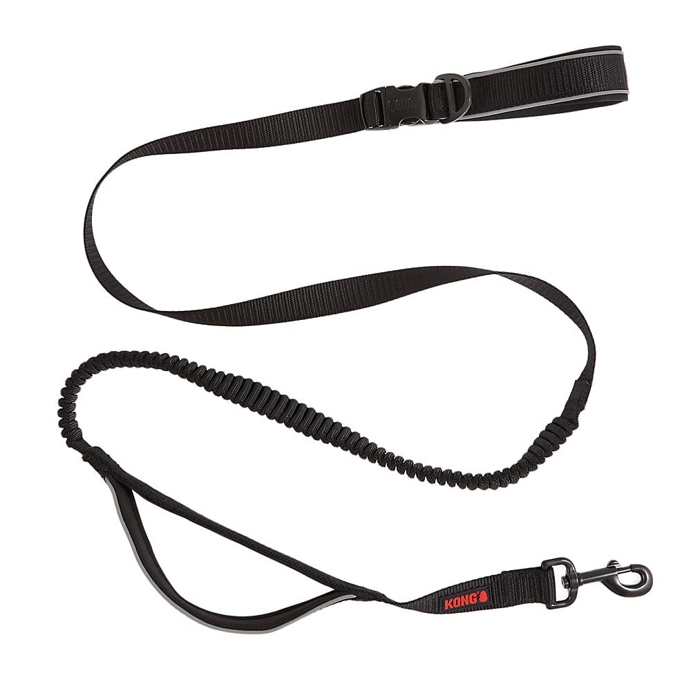 KONG waist-strap hands-free leash for cafe strolls