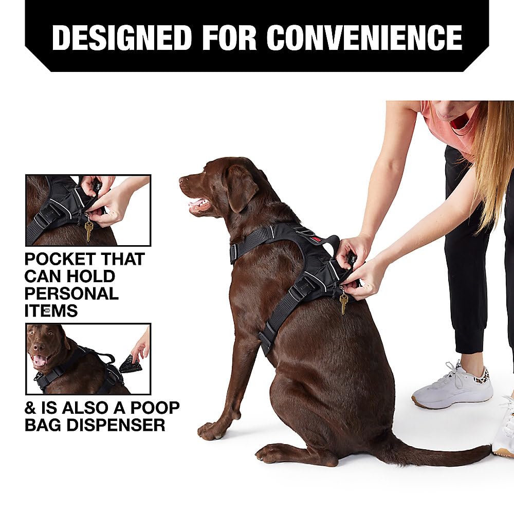 KONG Waste Bag Harness featuring front and back D-rings for versatile leashing.