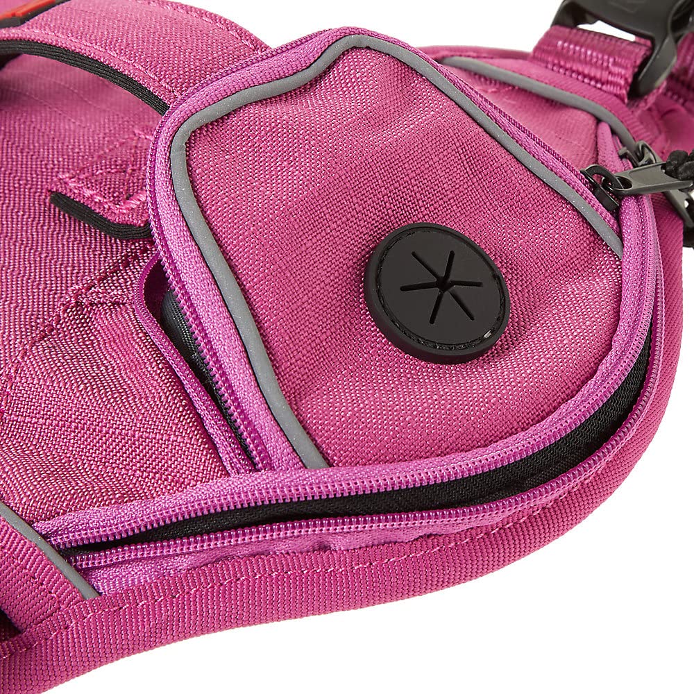 KONG Waste Bag Harness reflective piping aids safe night walks