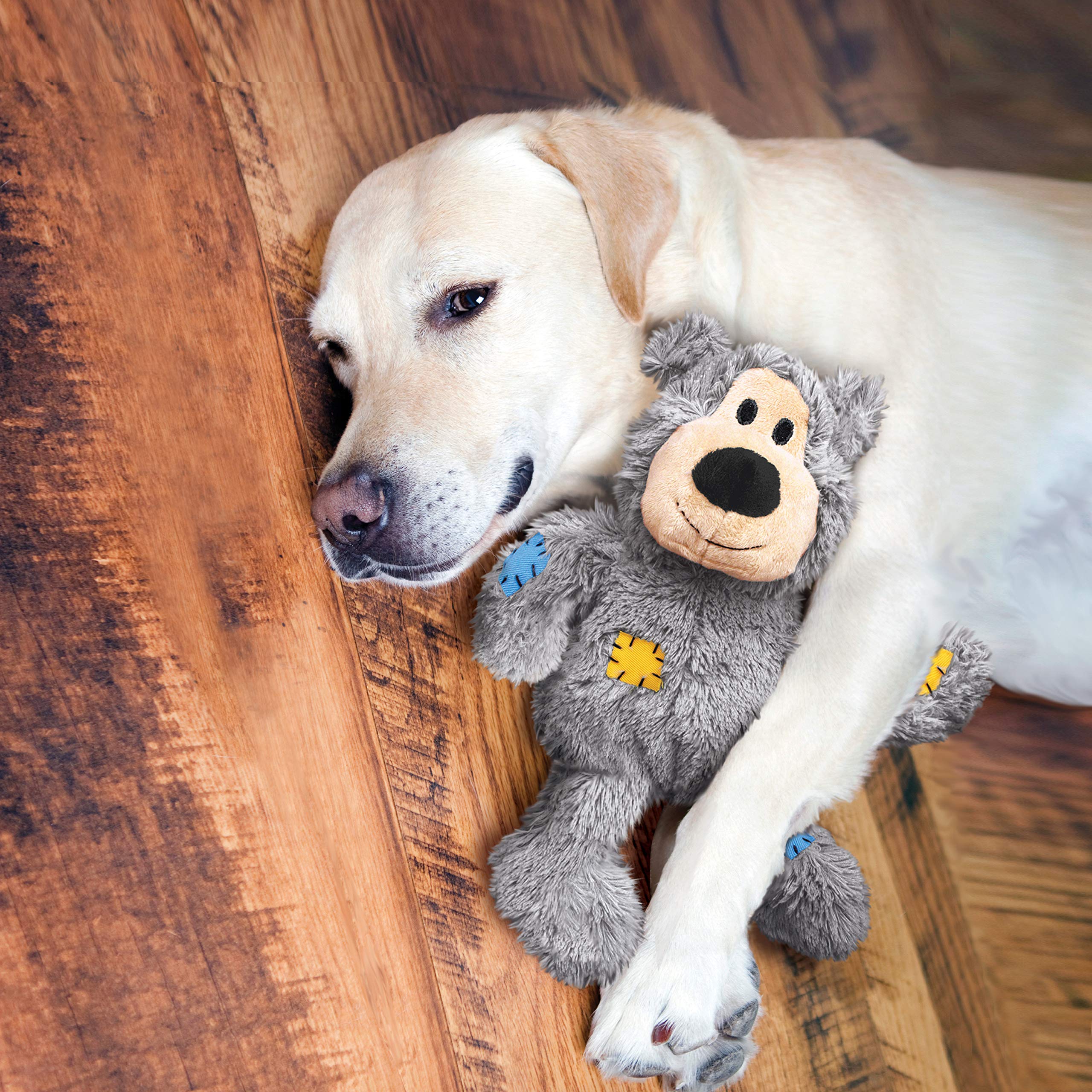 KONG Wild Knots Bear reveals internal rope skeleton for interactive tugging and chewing.