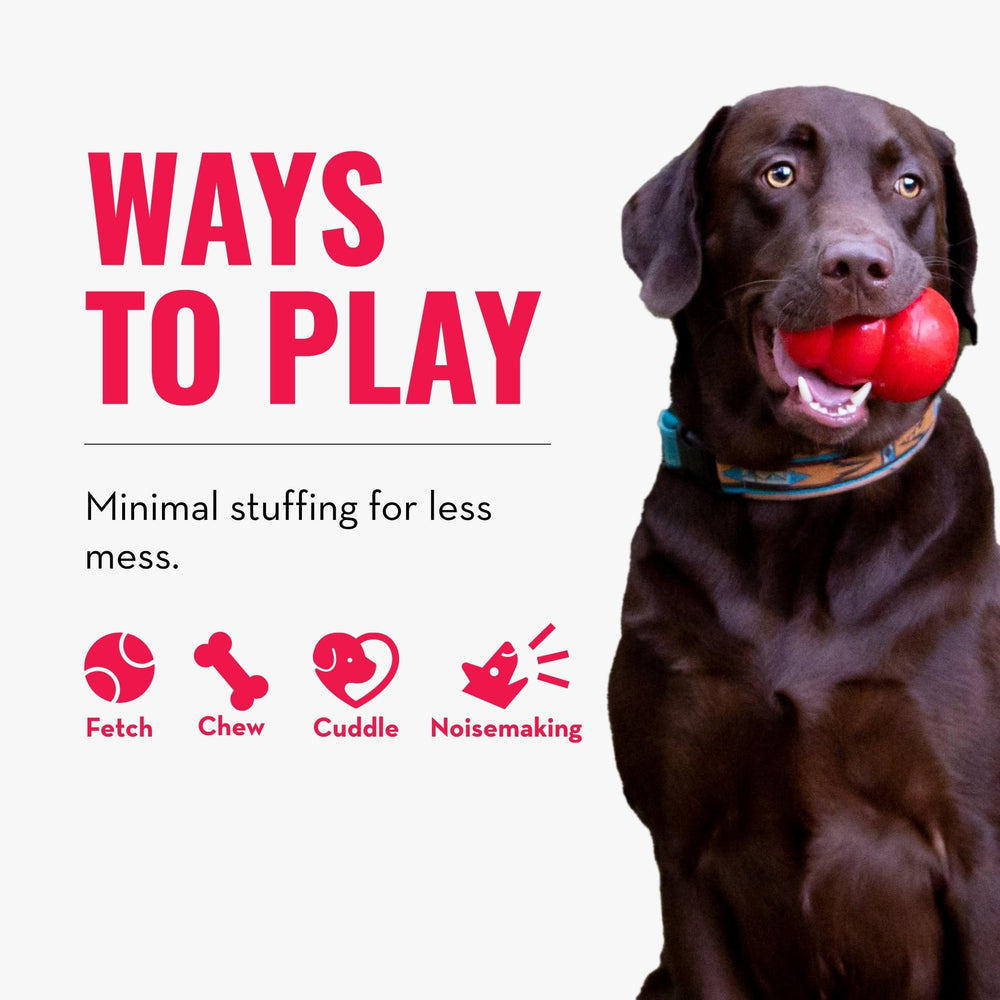 KONG Wild Knots Bear minimal stuffing emphasized for cleaner play sessions.