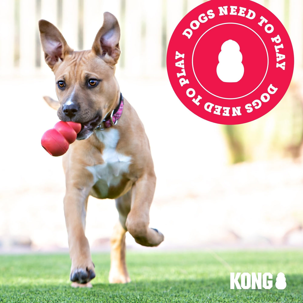 KONG Wild Knots Bear size range fits small to medium dogs.