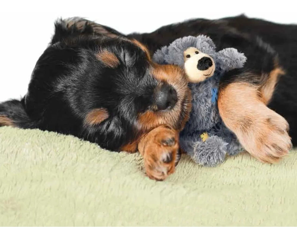 KONG Wild Knots Bears internal knot rope satisfies chewing instincts during play