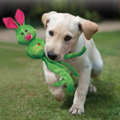 KONG Wubba Friends squeaky shake action engages dogs during play.