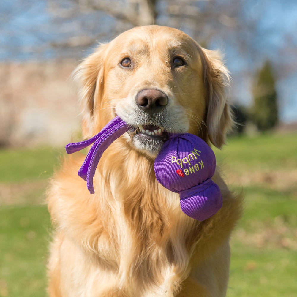KONG Wubba juguete para perros, tira y lanza, ideal para juego activo al aire libre