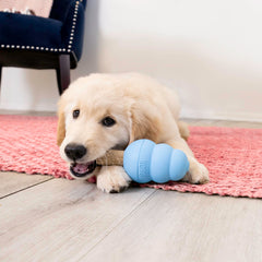 KONG Ziggies Puppy Small natural-delight close-up emphasizes DHA sea-kelp nutrition.