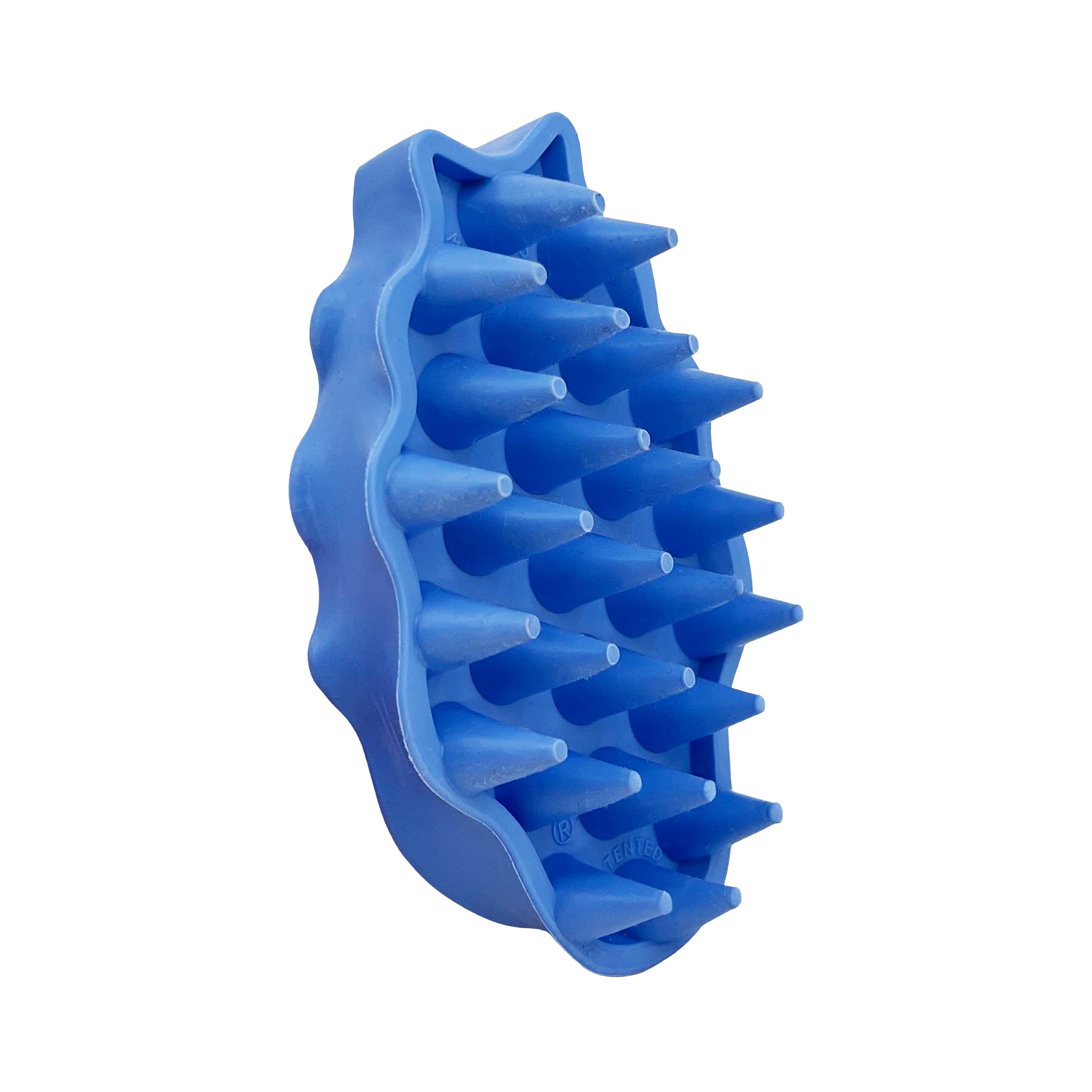 KONG ZoomGroom blue brush in use during a calm dog grooming session