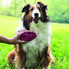 KONG ZoomGroom provides a gentle dog massage for calmer grooming