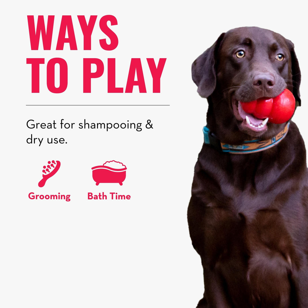 KONG ZoomGroom made in the USA for durable grooming.