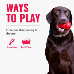 KONG ZoomGroom made in the USA for durable grooming.