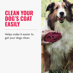 KONG ZoomGroom distributes shampoo evenly through the coat.
