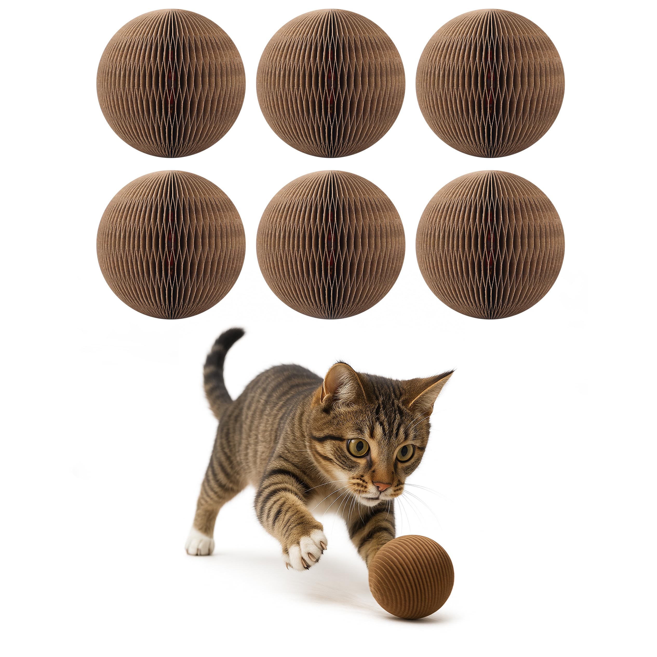 KONOATOR cardboard cat ball bell closeup inviting chase and play