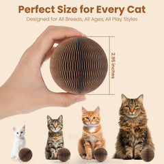 KONOATOR cardboard cat ball bell durability withstands hours of playful action