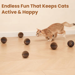 KONOATOR cardboard cat ball bell multi-pack for multiple cats