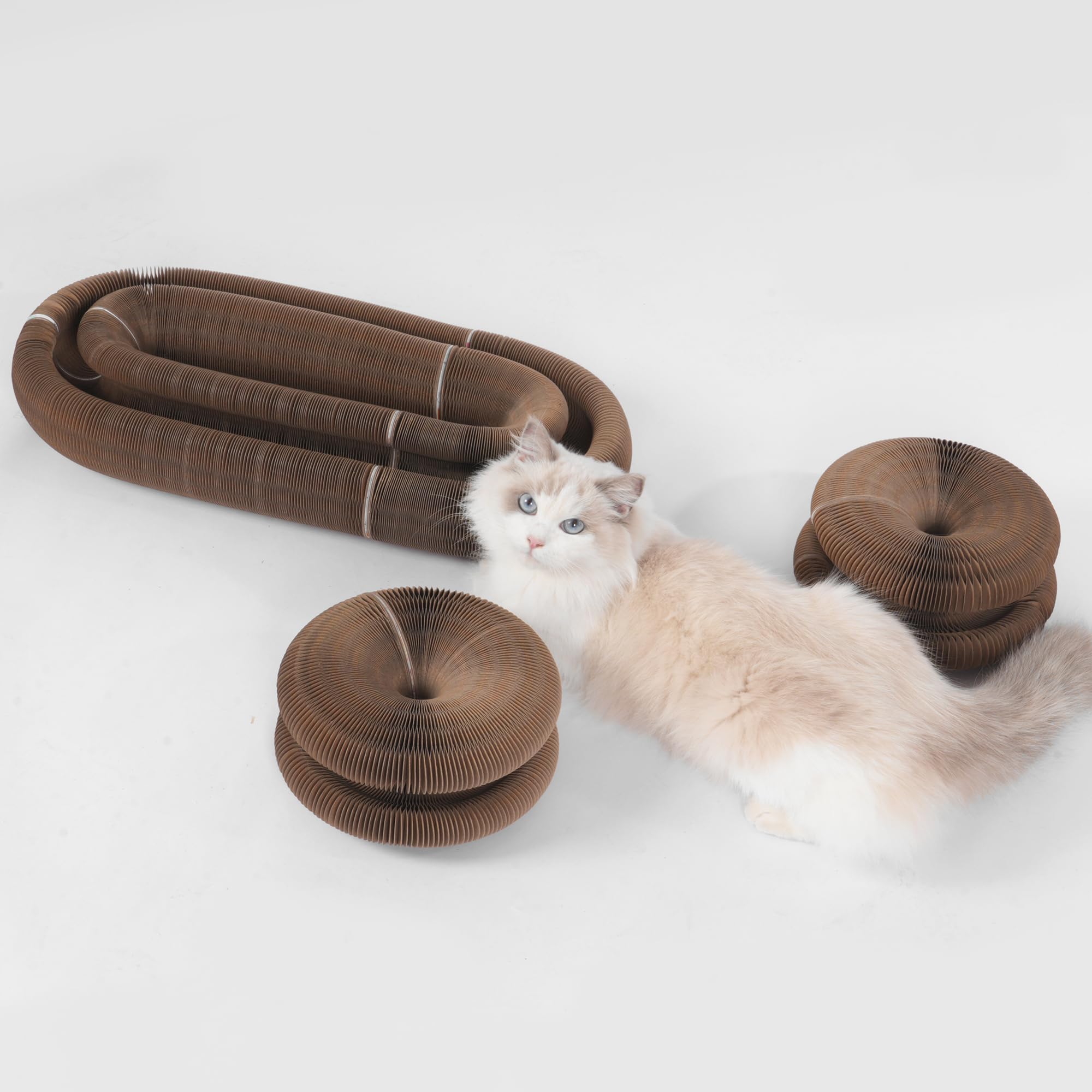 KONOATOR Kitty Kurlz multi use rest offers comfort between play sessions