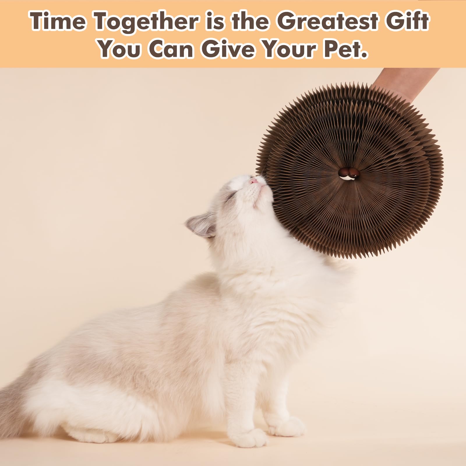 KONOATOR Kitty Kurlz travel-ready setup folds compactly for trips