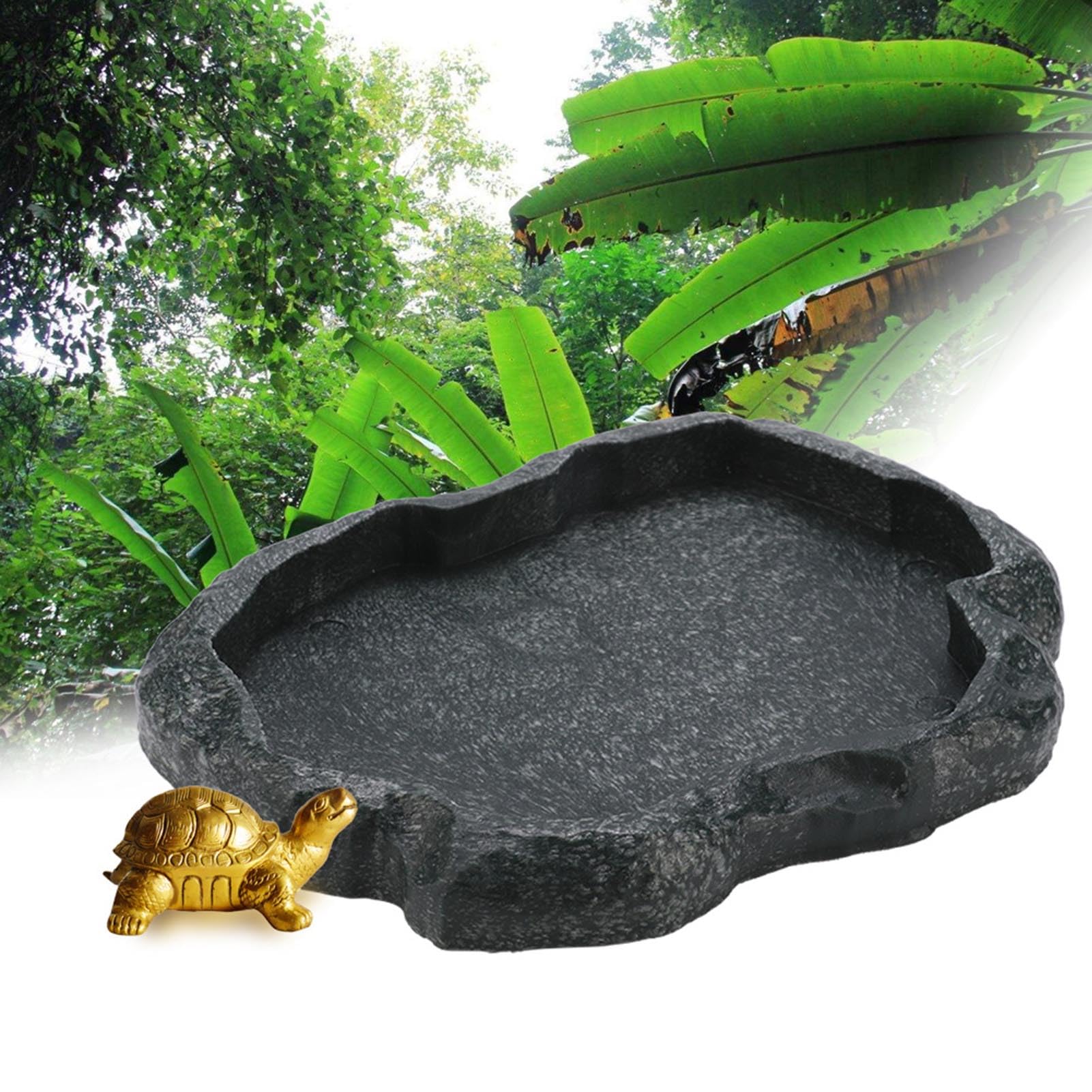 Bottom-edge detail on KooingTech reptile bowl designed to protect pets.