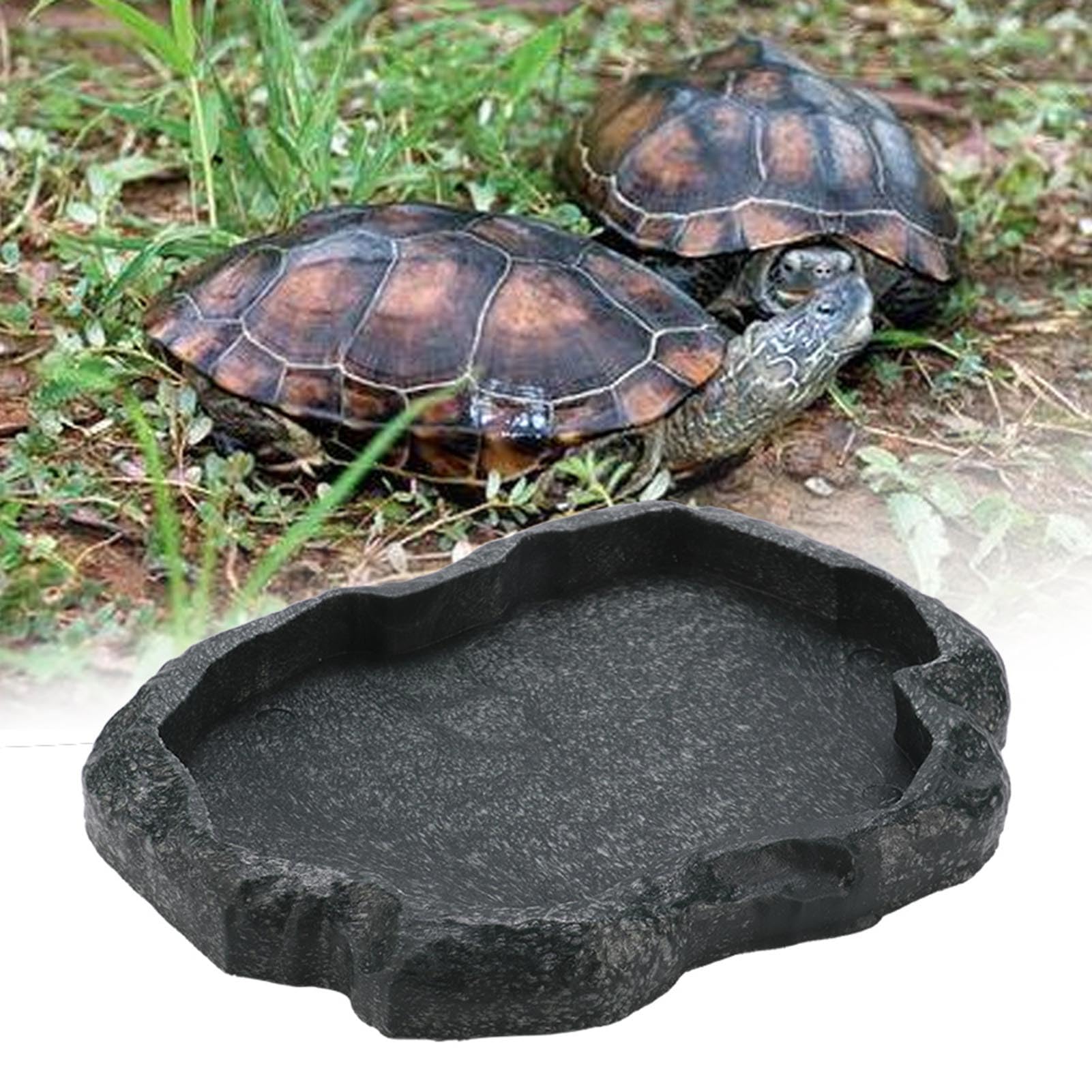 Close-up of smooth cleaning surface on KooingTech tortoise water dish.