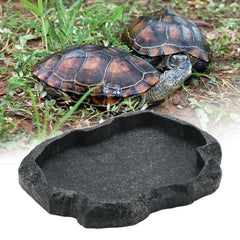 Close-up of smooth cleaning surface on KooingTech tortoise water dish.