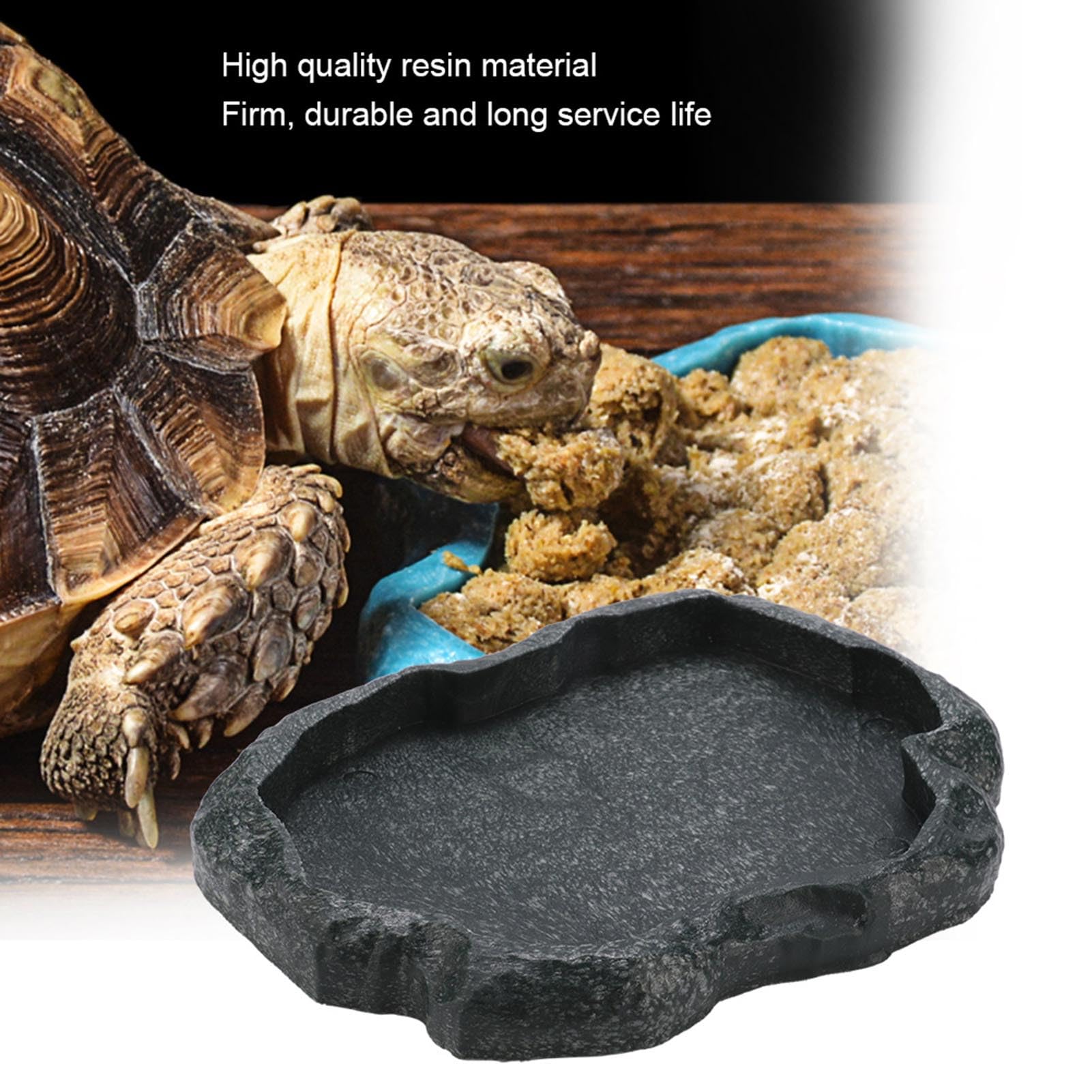 KooingTech tortoise water dish in a multi-use setup for water and food.