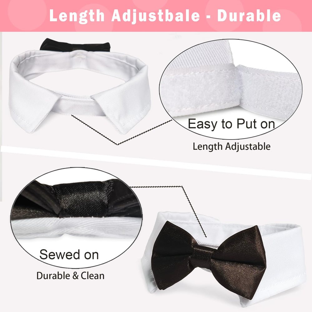 KOOLMOX cat tuxedo back strap demonstrates easy 2.1-inch closure for quick adjustments