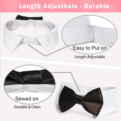KOOLMOX cat tuxedo back strap demonstrates easy 2.1-inch closure for quick adjustments