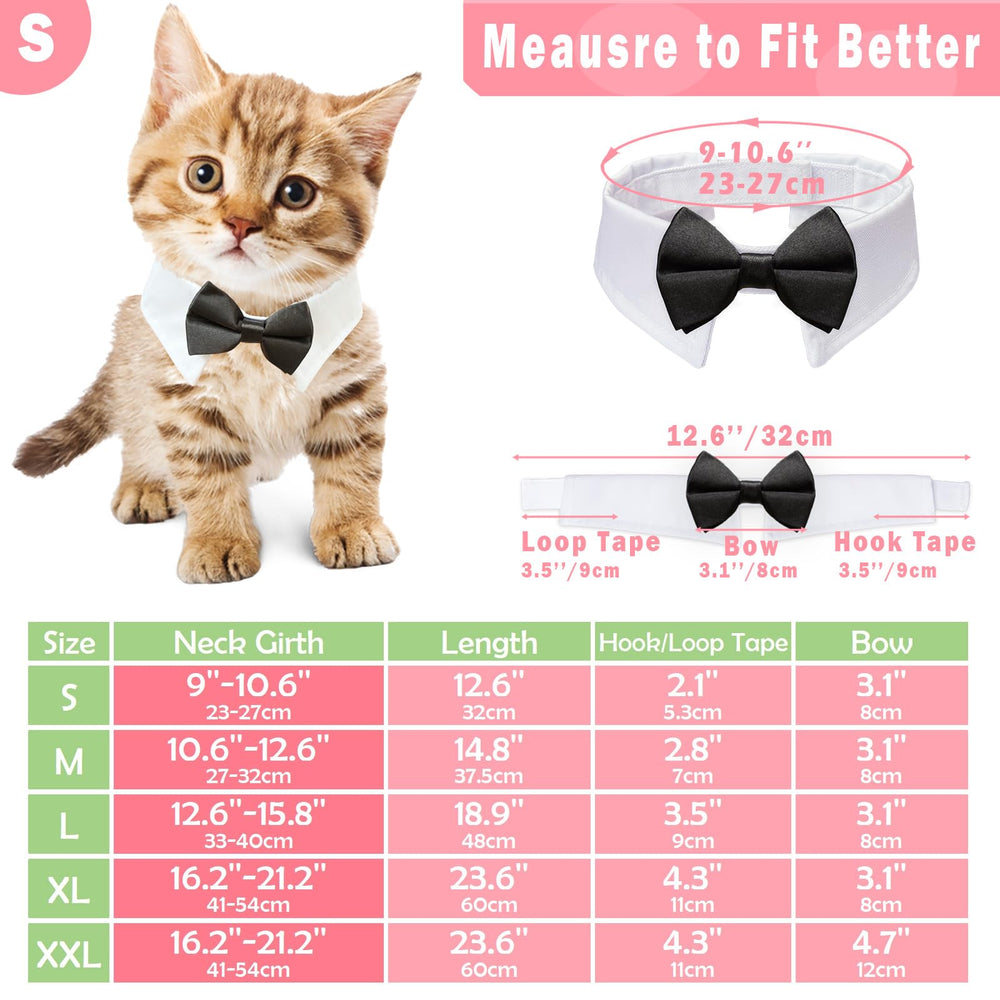 KOOLMOX cat tuxedo bow tie closeup highlights the stylish black bow for formal wear