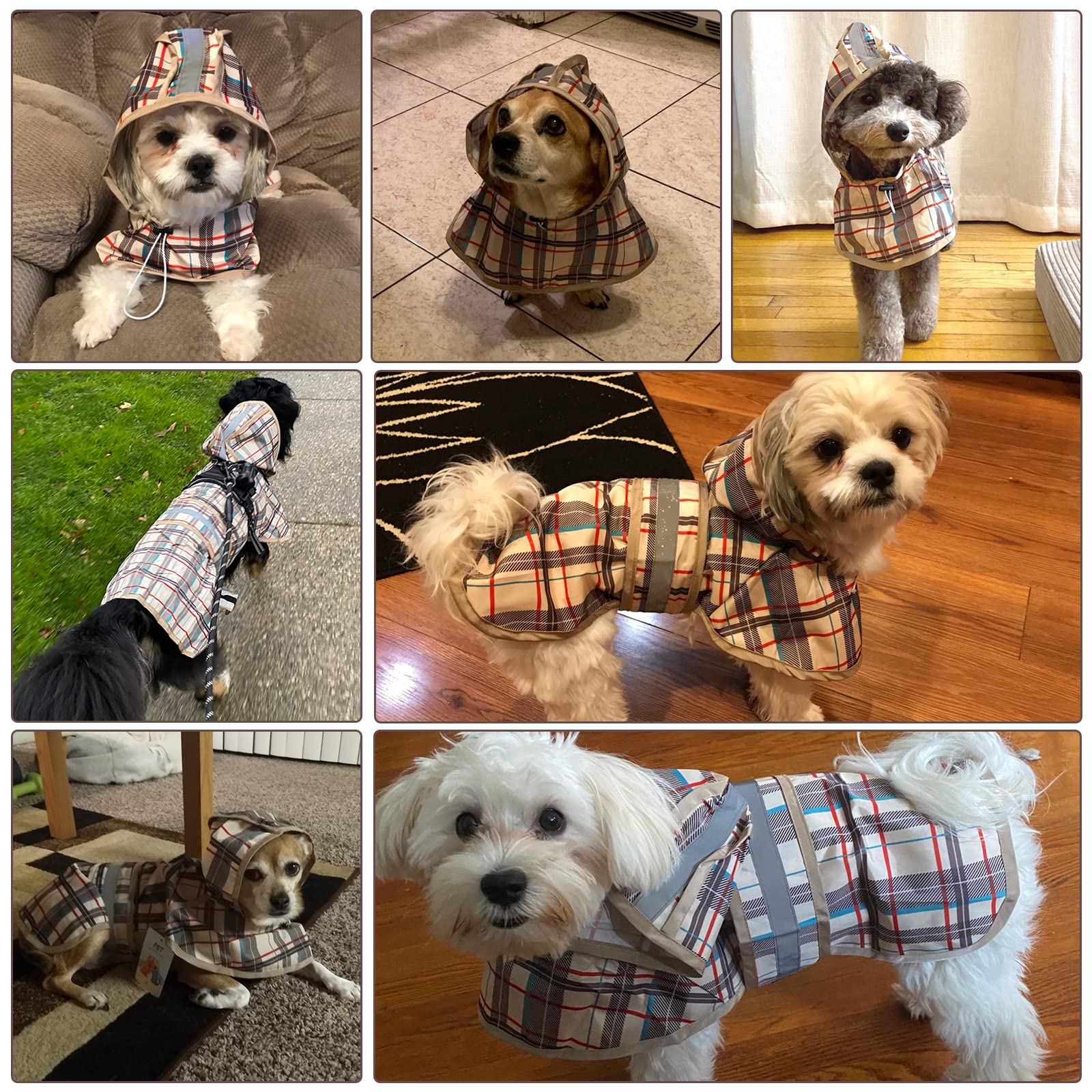KOOLTAIL ajuste de cintura, ajuste cómodo y seguro para perros.