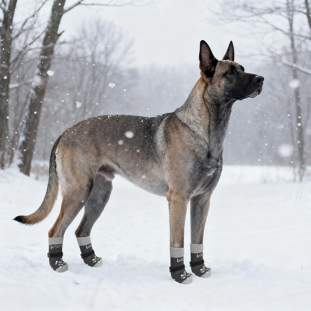 KOOLTAIL socks in use on indoor-outdoor surfaces across terrains