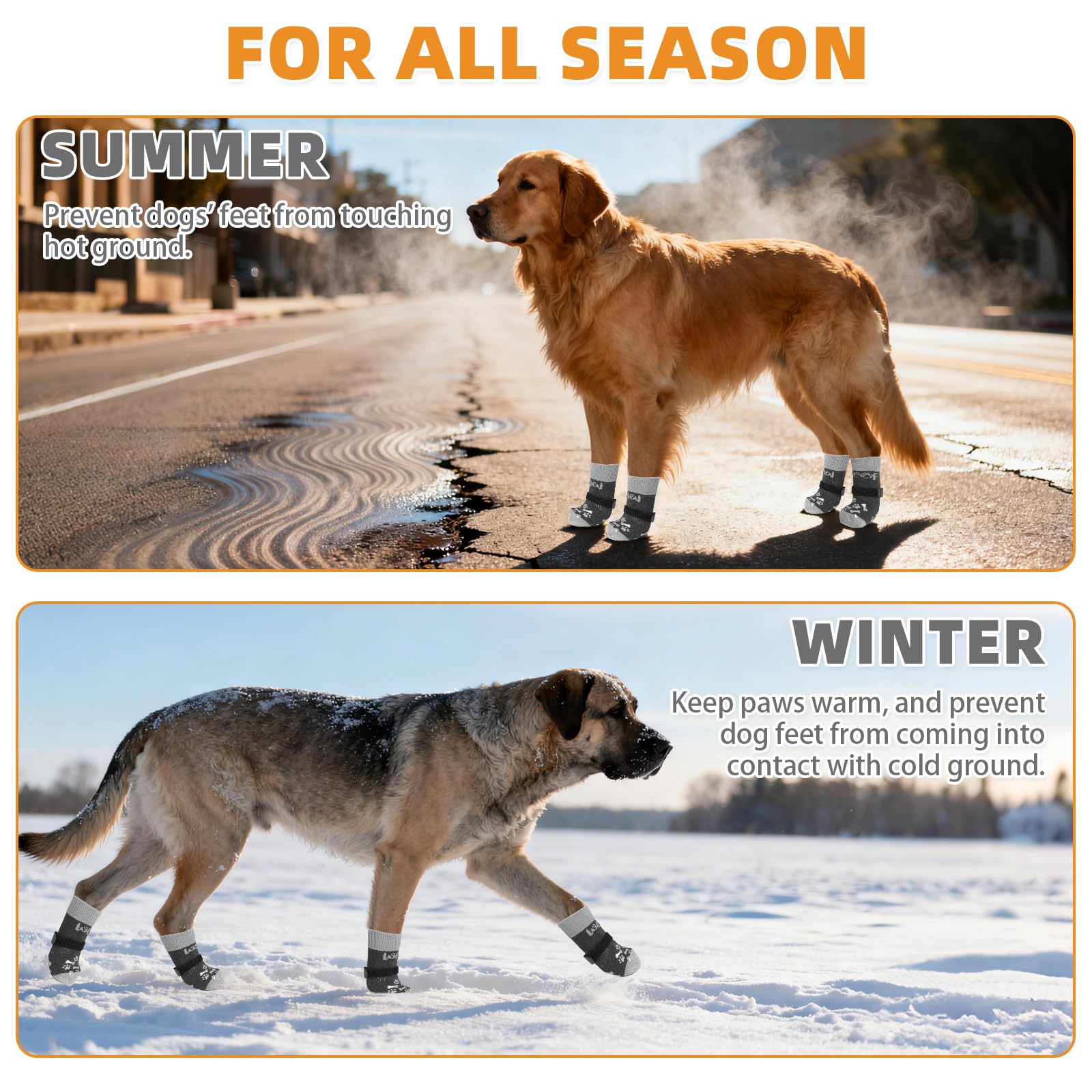 KOOLTAIL on-paw wear demonstrates paw protection during outdoor activity