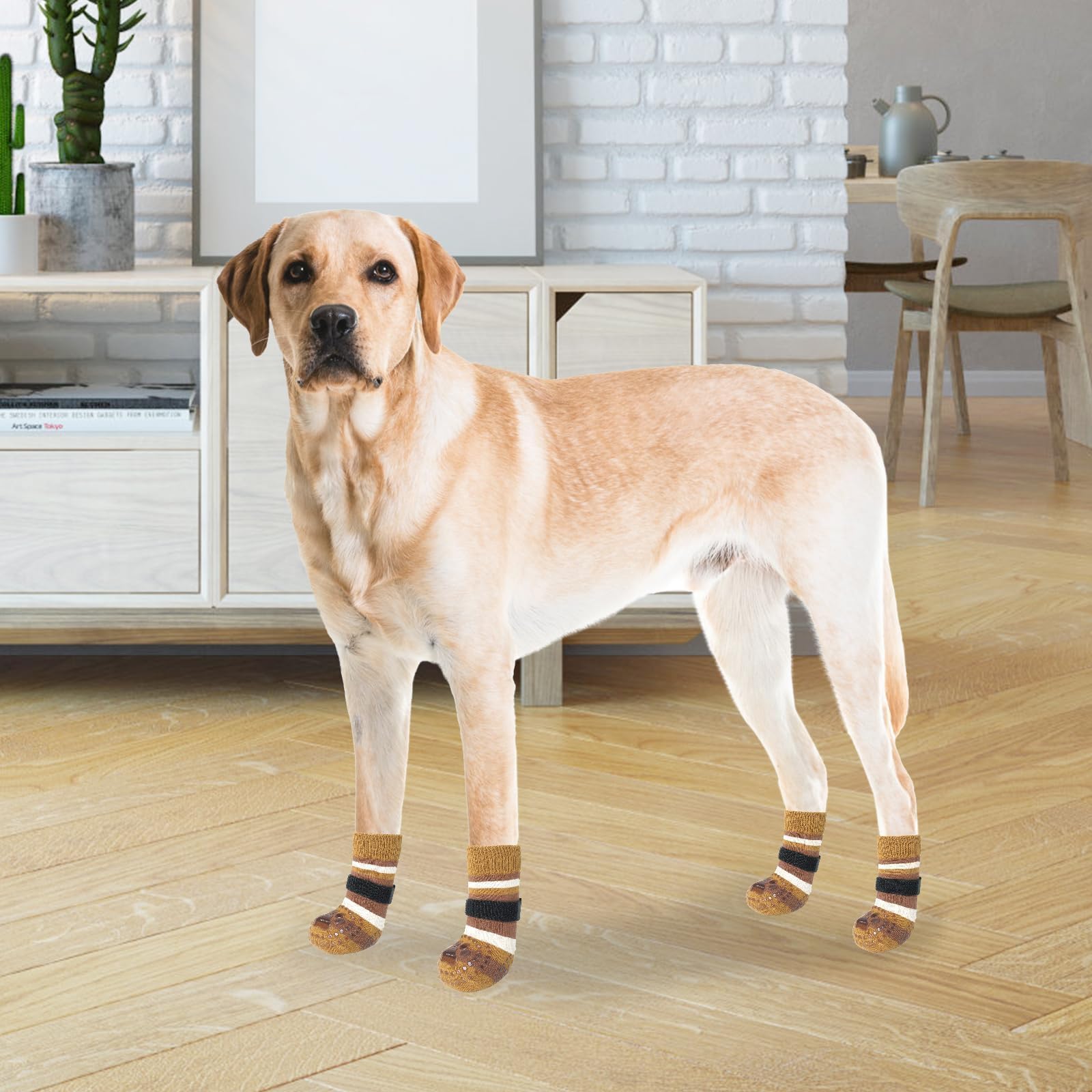 KOOLTAIL on dog wearing booties on hardwood floor