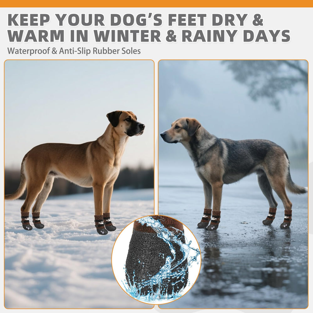 KOOLTAIL anti-slip dog socks on a dog during outdoor walk to prevent slips.