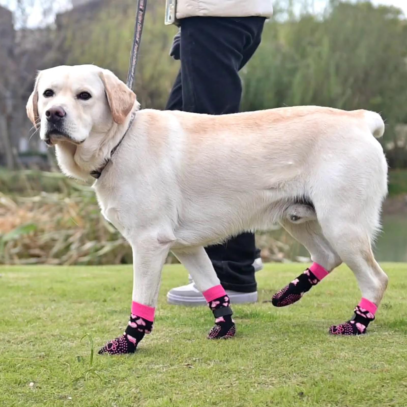 KOOLTAIL anti-slip dog socks pink heart packaging and size guide